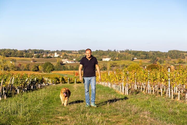 Bordeaux Wine Trails: Saint-Emilion Evening Wine Tour