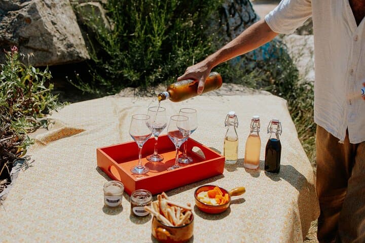 Countryside Food Tour, Wine tasting & Apéro Pétanque with Picnic