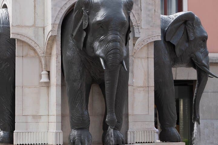 Elephant Fountain: The famous emblem of the city (the "4 without ass") paying tribute to General de Boigne.