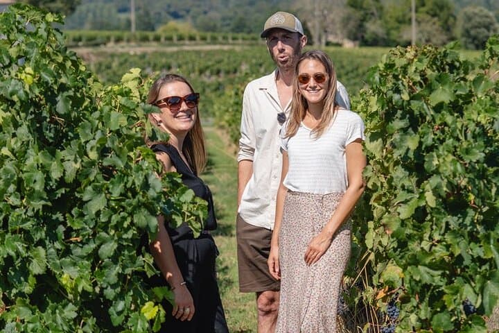 Enjoy a private tour accompanied by a wine expert