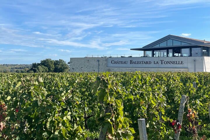 Shore excursion d'une journée à St-Emilion & visite des vignobles
