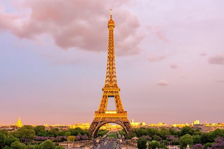 Paris Private Car Service with Professional Driver