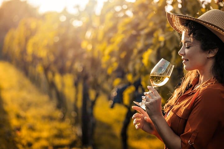 Sauternes Wine Tour Sweet Botrytis