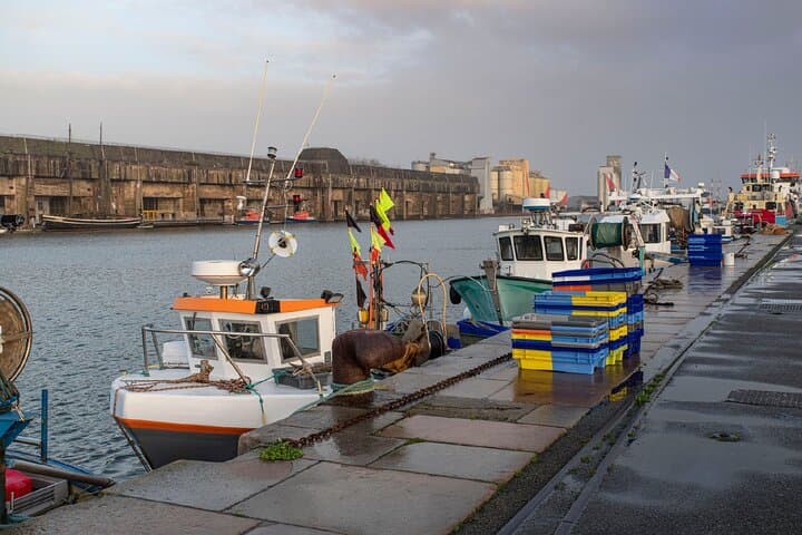 The Port and its basins: Walk along the quays, between fishing boats and maritime atmosphere.