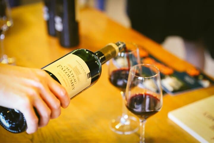 Croisière Apéro Vigneron Bordeaux