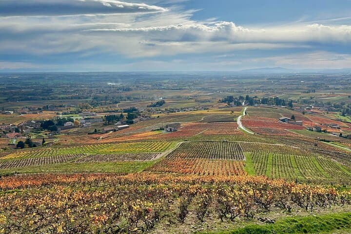 Views of the vineyards from the Chapel of the Madonna in Fleurie