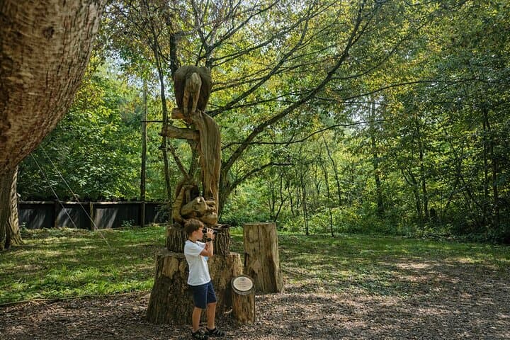 Zoo Safari Thoiry A Wild Family Day Trip from Paris