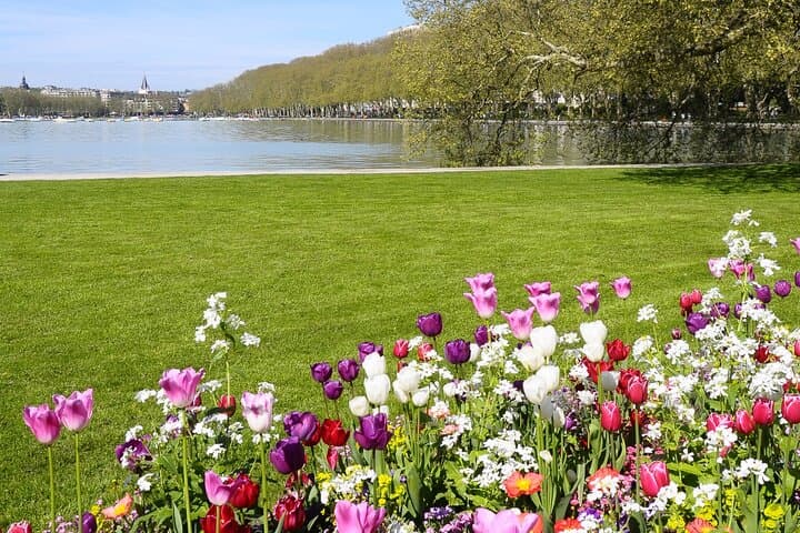 Private Walking Tour in Annecy with Tour Guide