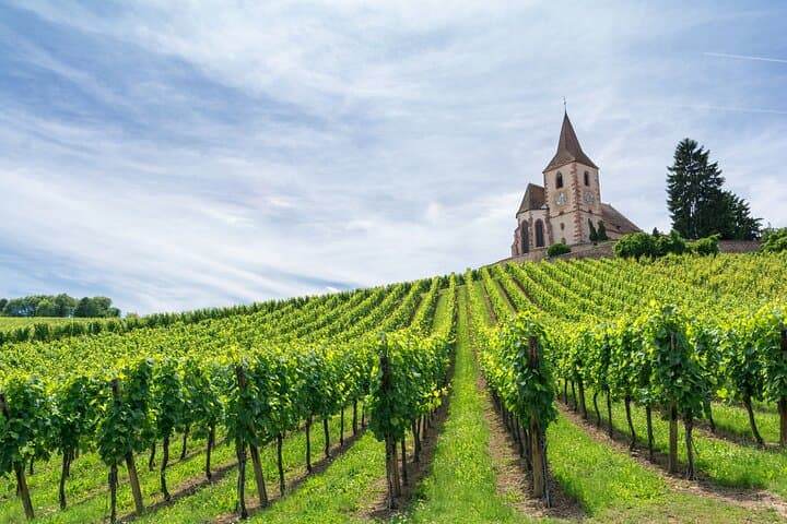 Private Cultural Car Tour in Colmar Wine Village
