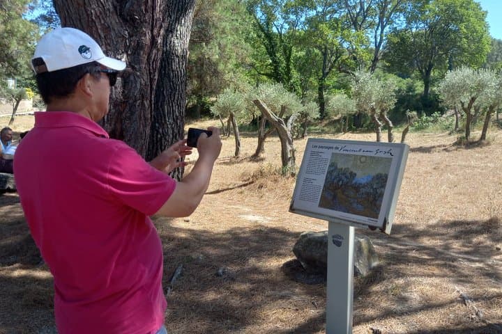 In the footsteps of Van Gogh in Provence from Avignon
