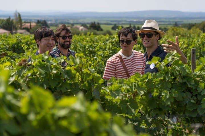 Afternoon Wine Tour to Chateauneuf du Pape from Avignon