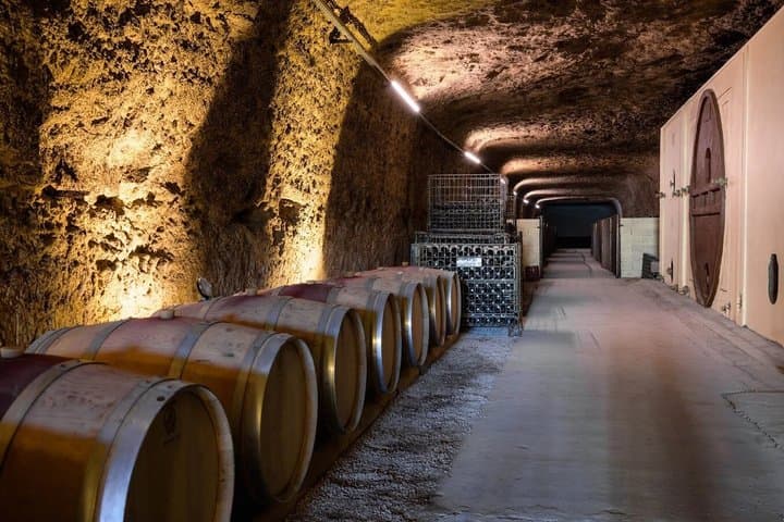 Best of Loire Valley 3 Châteaux and Wine Tasting