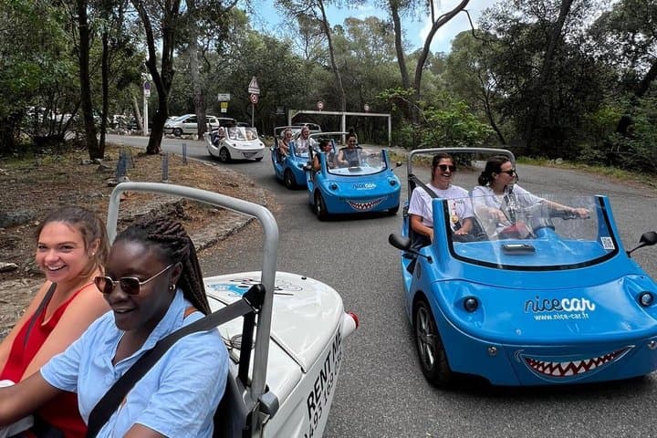 Nice: Panoramic Guided Tour in an Open-Top Electric Car