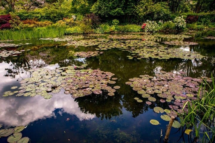 3 Day Private Normandy Loire Tour by Van From Coast to Castles