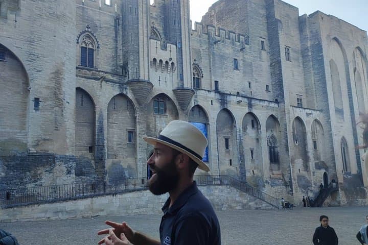 Avignon Walking Tour including Pope's Palace