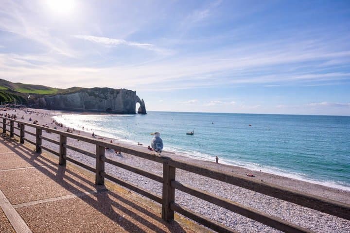 Étretat and Honfleur DayTrip from Paris Pearls of Normandy Coast