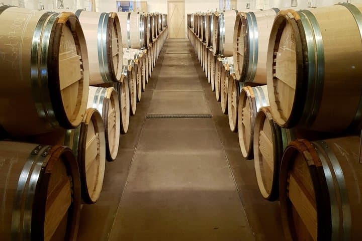 Private Wine Tour in Sauternes The Liquid Gold of Bordeaux