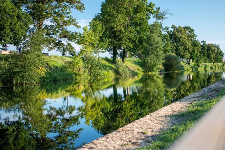 Canal de Roanne à Digoin: A peaceful and green walk along the towpath, a real green lung.