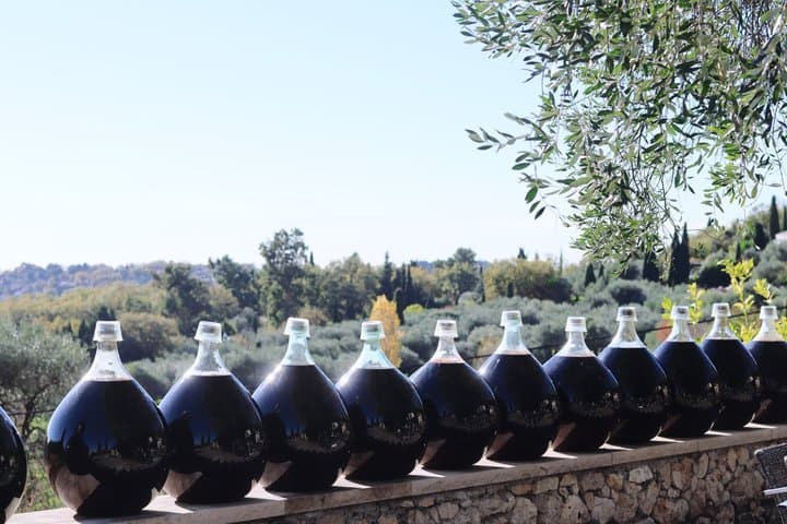 Nice, Saint-Paul-de-Vence and Wine Tasting full day from Nice