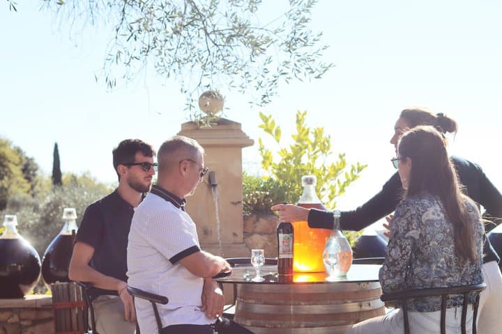 Nice, Saint-Paul-de-Vence and Wine Tasting full day from Nice