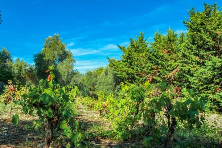 Private Villa Wine Tastings