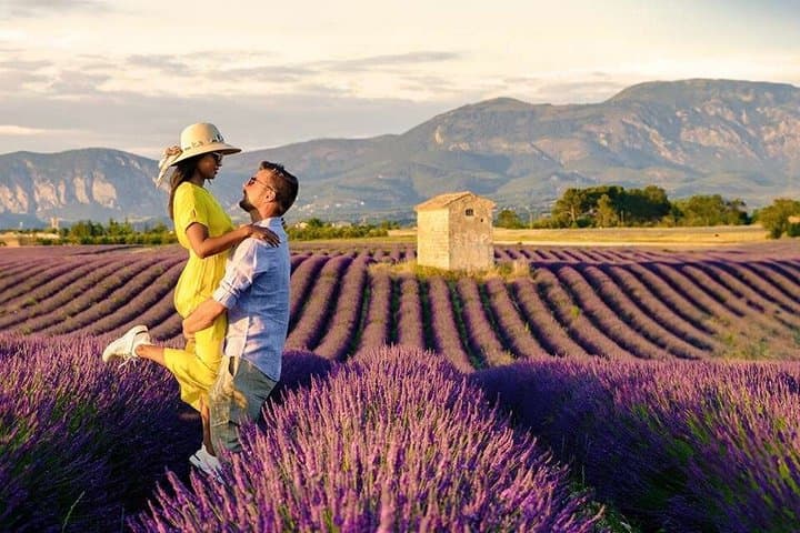 Lavender fields experience in Provence