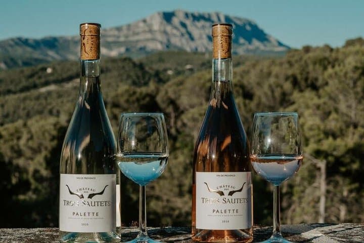 Exclusive wine tasting at Château des Trois Sautets