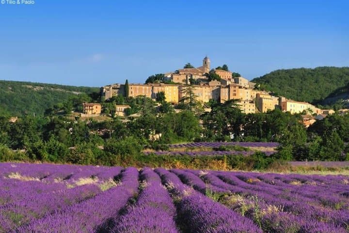 2 Days Provence private Tour in a Vintage 2CV