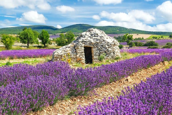 Luberon Wine Tour