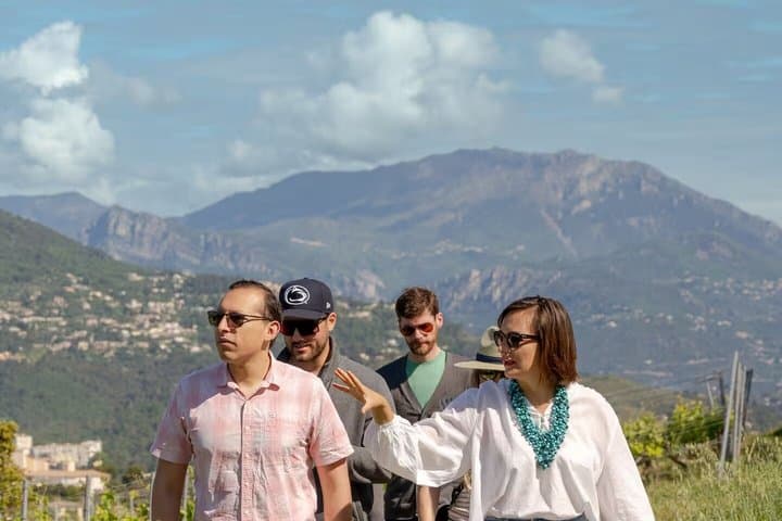 Vineyard Tour