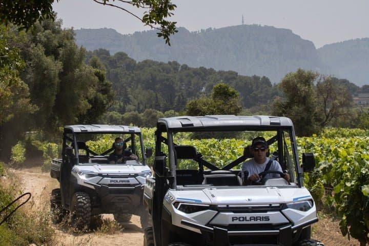 Vineyard and Janot Forest in Buggy 1OO% electric