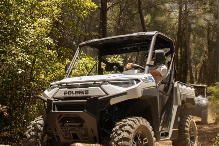 Vineyard and Janot Forest in Buggy 1OO% electric