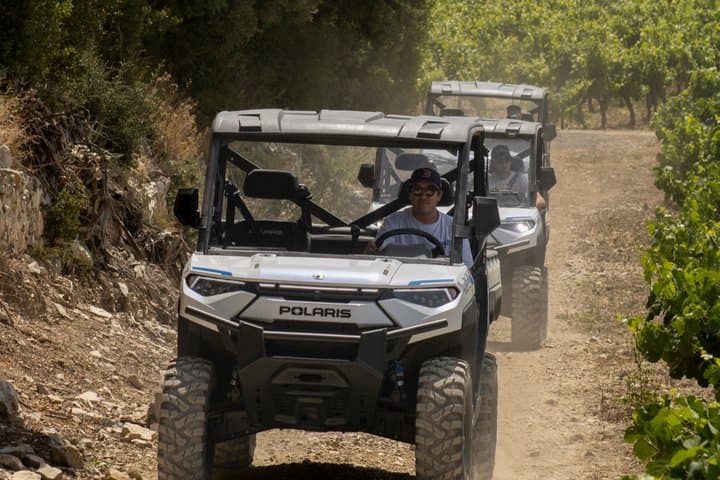 Vineyard and Janot Forest in Buggy 1OO% electric