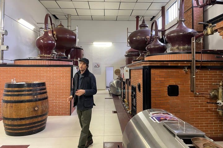 Cognac Wine Tour to Vineyard Safari and Royal Château