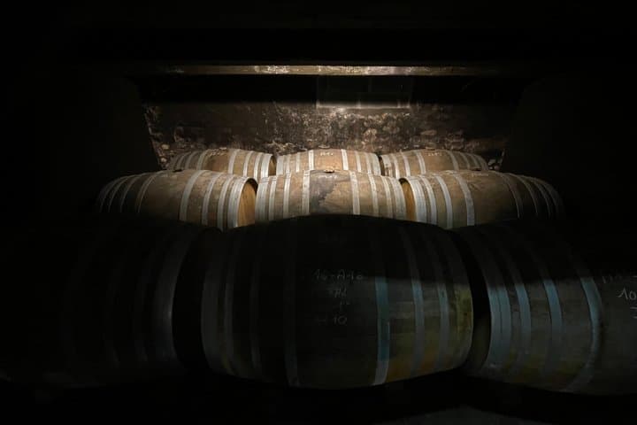 Cognac Wine Tour to Vineyard Safari and Royal Château