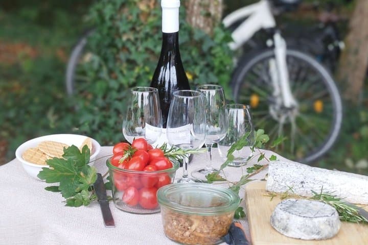 Loire Valley Ultimate E-bike Tour: Amboise, Chenonceau & Wine