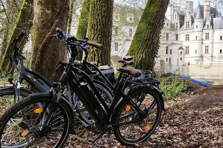 Loire Valley Ultimate E-bike Tour: Amboise, Chenonceau & Wine