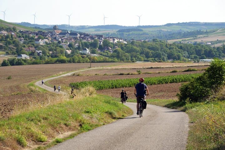 Path to the village of Saint-Bris