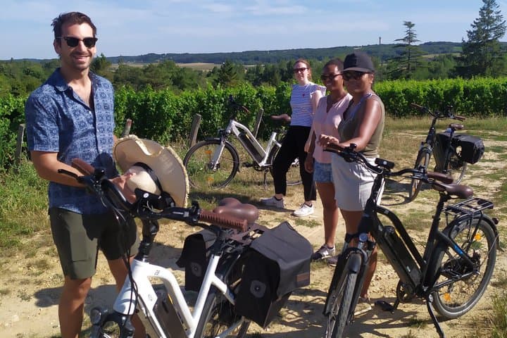 Loire Valley Ultimate E-bike Tour: Amboise, Chenonceau & Wine
