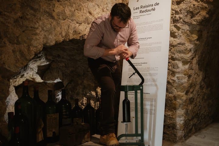 Wine Creation Workshop and Wine and Trade Museum Tour