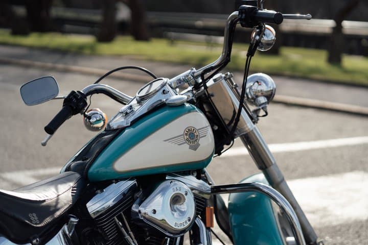 Chauffeured Vintage Harley Davidsons Tours in Basque Country