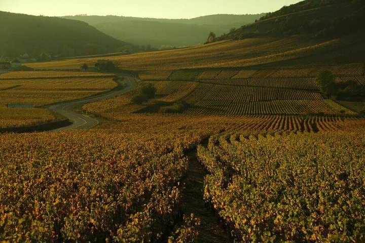 Paris Wine Day Tours - Chablis Wine tour - 3 Tastings with Lunch