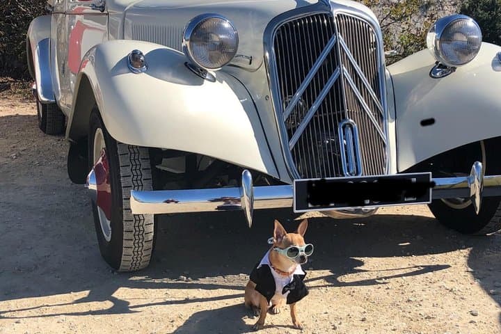 Honeymoon Vintage Car Tour Grace Kelly’s Riviera Escape