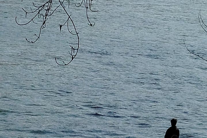 Magnet fishing on the Seine