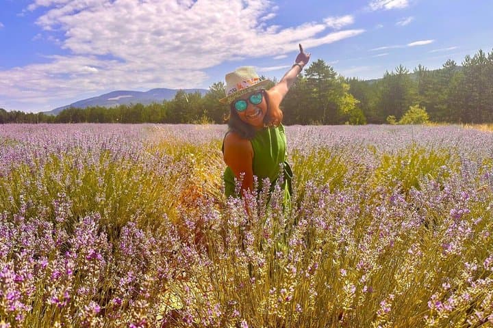 Sunset Lavender Tour