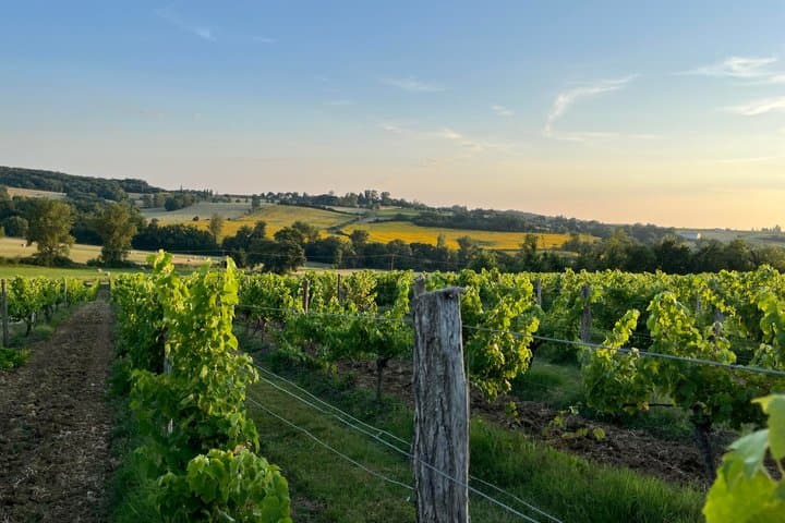 Villages Of Gers Visits And Tastings
