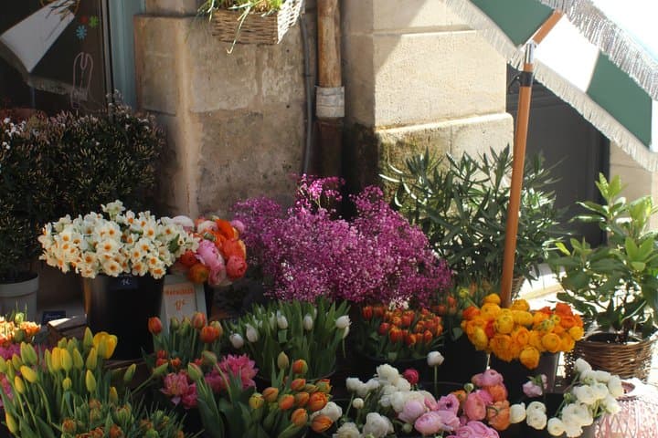Bordeaux's Top Sights and Food Tour (vegan friendly)