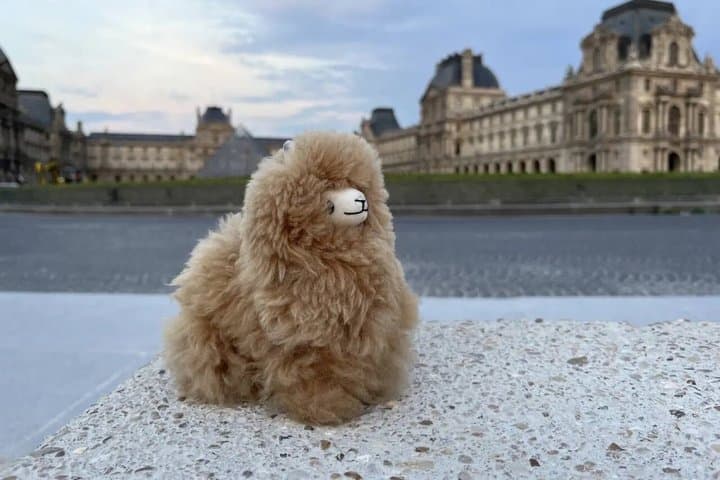 Paris day city tour by Car