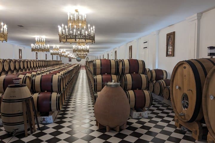 Bordeaux Private Wine Tours at Left Bank Graves