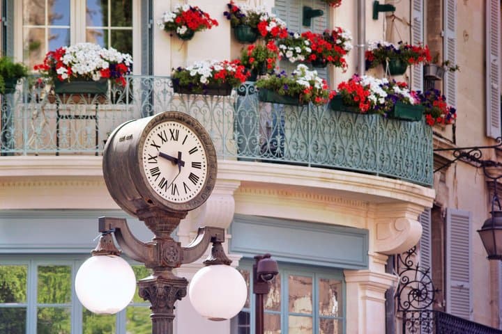 Private Tour: Avignon & Papal Heritage from Arles